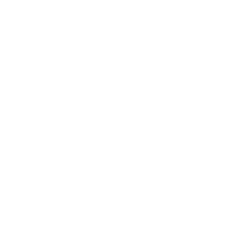 category-icon