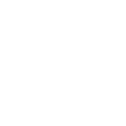 category-icon