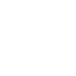 category-icon