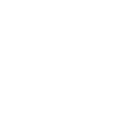 category-icon