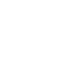 category-icon